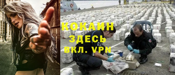 сатива Балахна