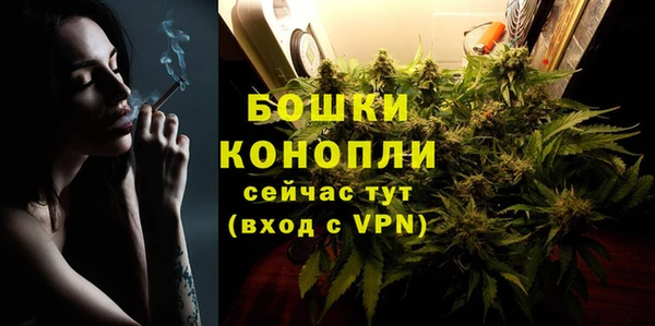 сатива Балахна