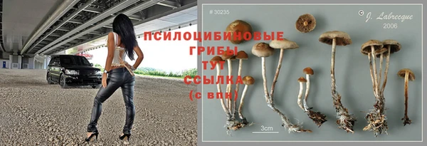 сатива Балахна